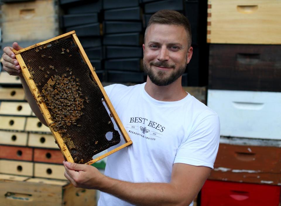Remote Monitoring Software Aiding increased Honey Bees Production